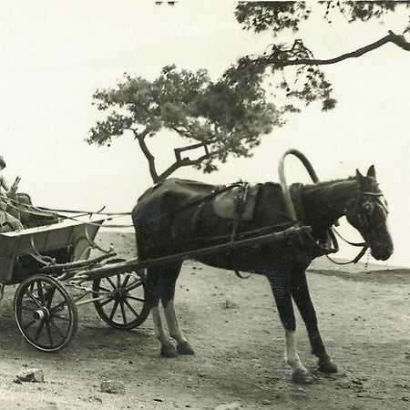 Orhan Kutbayin Evi Prinseneilanden Buitenkant foto